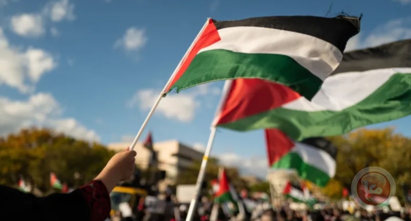 خبراء الأمم المتحدة: على جميع الدول الاعتراف بدولة فلسطين