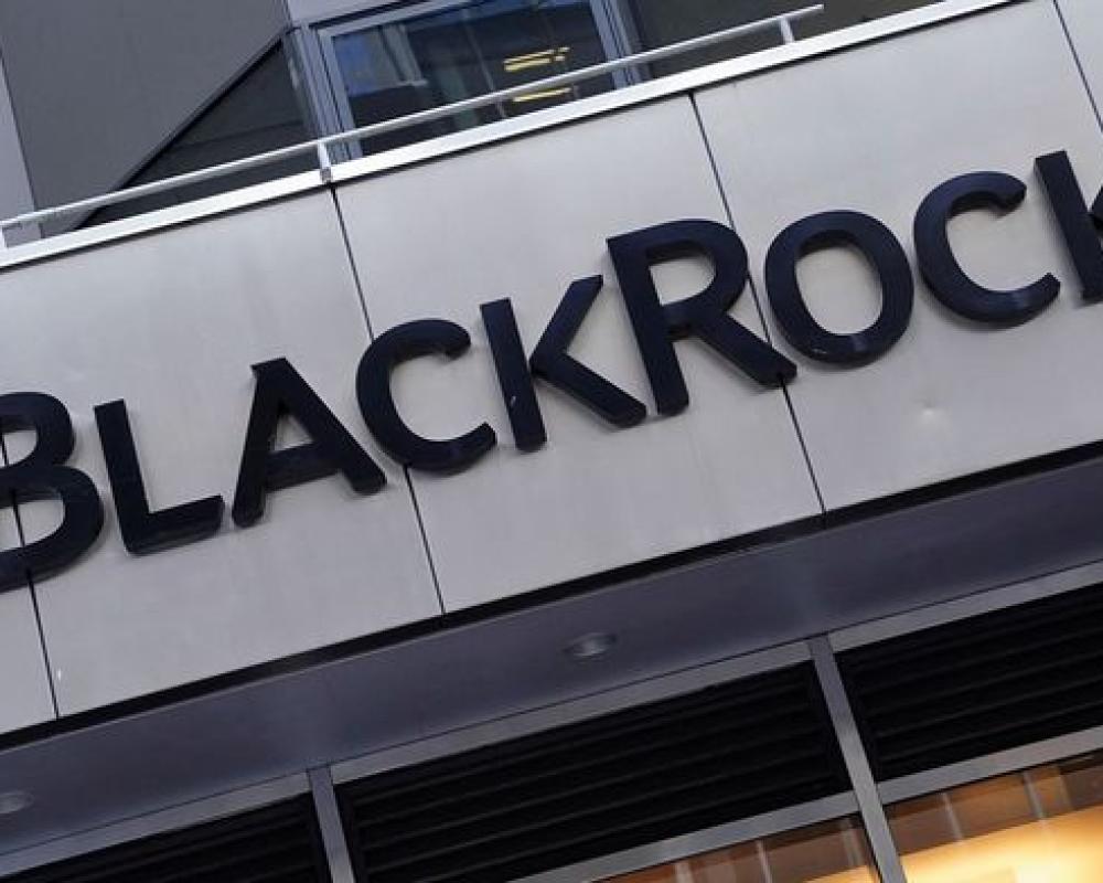 تظاهرة أمام شركة Black Rock  بنيويورك لاجبارها على سحب استثماراتها من اسرائيل