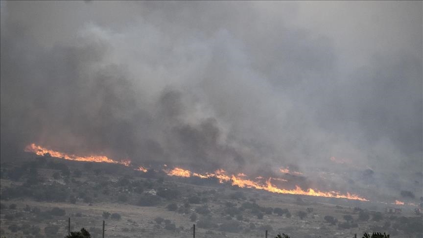 إسرائيل: اندلاع حريق في غابة جنوب غرب القدس