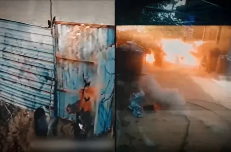 متعاونين