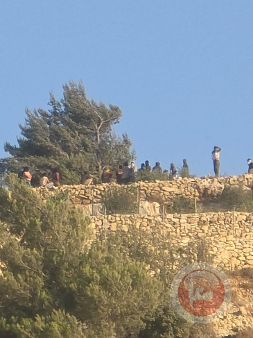 مستوطنون يعتدون على مواطنين والجيش يعتقل مواطنين إثنين